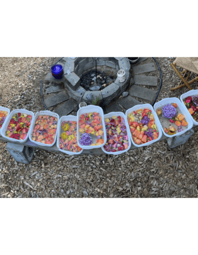 Foot baths filled with flowers