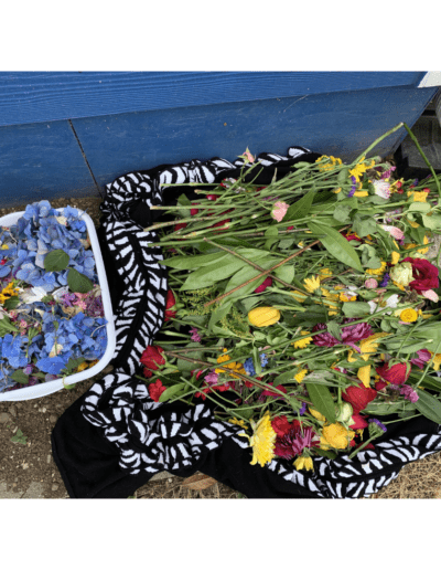 Laid out flowers